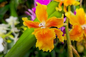 20250222_135415 Tower Hill Botanic Garden, MA